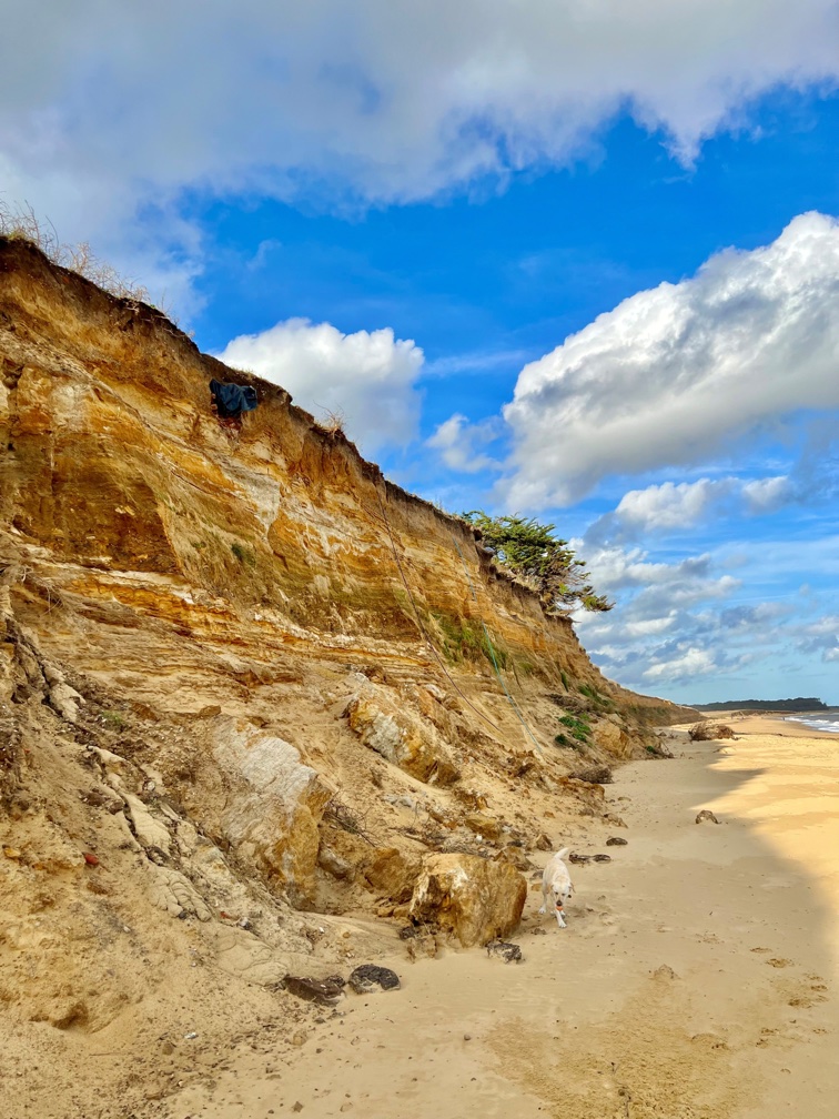 Southwold cliffs